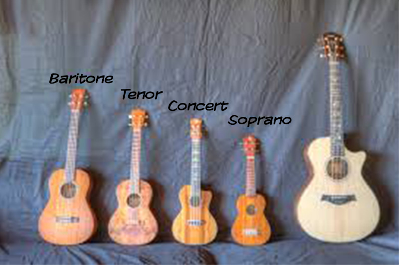 The 4 types of different ukuleles. Soprano, Concert, Tenor, and Baritone.